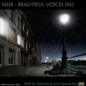 BEAUTIFUL VOICES 042 (ATB VS. SIMMONDS & JONES SP.ED.)