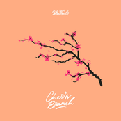 Cherry Branch