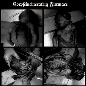 Pathologies Of The Newborn