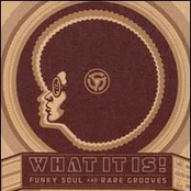 What It Is! Funky Soul and Rare Grooves