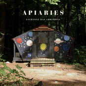 Everyone Has Ambitions