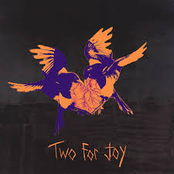 Two for Joy