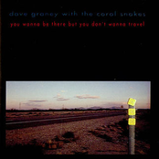 Imagine If What You Did On Your Weekend Was Your Life by Dave Graney 'n' The Coral Snakes