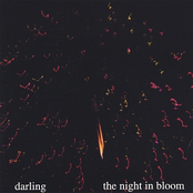 Darling: The Night In Bloom