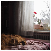 Everything Is Alright - EP