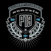 P-13