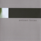 Ambient Forces