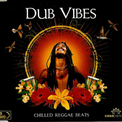 Dub Vibes 2 Disc 2