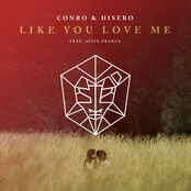 Like You Love Me (feat. Alice France) - Single