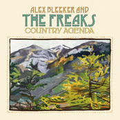 Alex Bleeker and The Freaks: Country Agenda