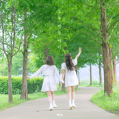 Cicadas in Green Summer - Single