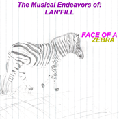 Face of a Zebra
