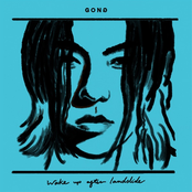 Wake Up After Landslide - Single