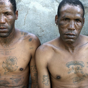 Bad Vibrations/Bloodhouse Split Cassette