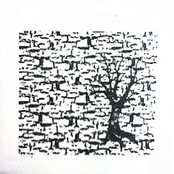 the stars, an escape