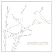 Two Birds