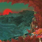 Hawkeyes / The Radiation Flowers