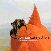 Strawberry Swan Lake