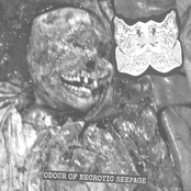 Odour of Necrotic Seepage