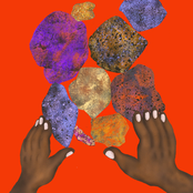 Forest of Our Memories