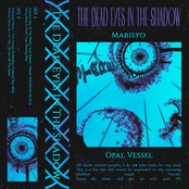 The Dead Eyes In The Shadow