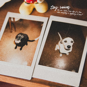 (how can i) take it one step at a time when everything is happening at once?