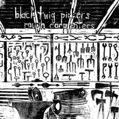 The Black Twig Pickers: Rough Carpenters
