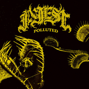 In Jest: Polluted (feat. Execute) - Single