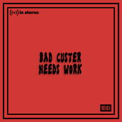 Bad Custer: Bad Custer Needs Work