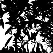 Between the last time I thought about all that I'm living for and now (how to live in the moment)