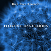 Floating Dandelions