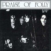 praise of folly