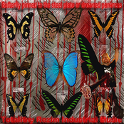 Butterfly pinned to the steel plate or drowned pankreas