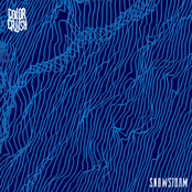 Color Crush: Snowstorm