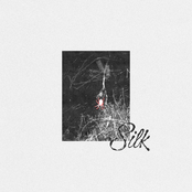 Silk