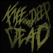 knee deep in the dead