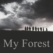 My Forest
