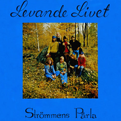Strömmens Pärla