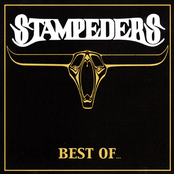 Everybody by The Stampeders