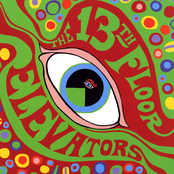 Splash 1 (now I'm Home) by 13th Floor Elevators