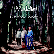 Цветок омелы