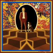 Party in a Lonely Head