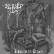 Walking With The Undead by Morbid Flesh
