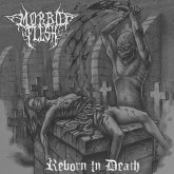 Dying Lapidation by Morbid Flesh