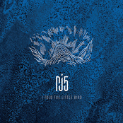 I Told the Little Bird