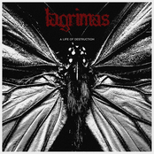 Lagrimas: A Life of Destruction