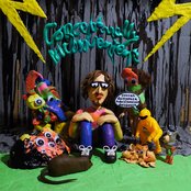 Conceptually Inconvenient