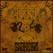 Snakeoil