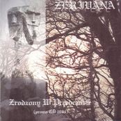 Zrodzony w Przedczsie