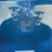 Ed O'Brien: Blue Morpho